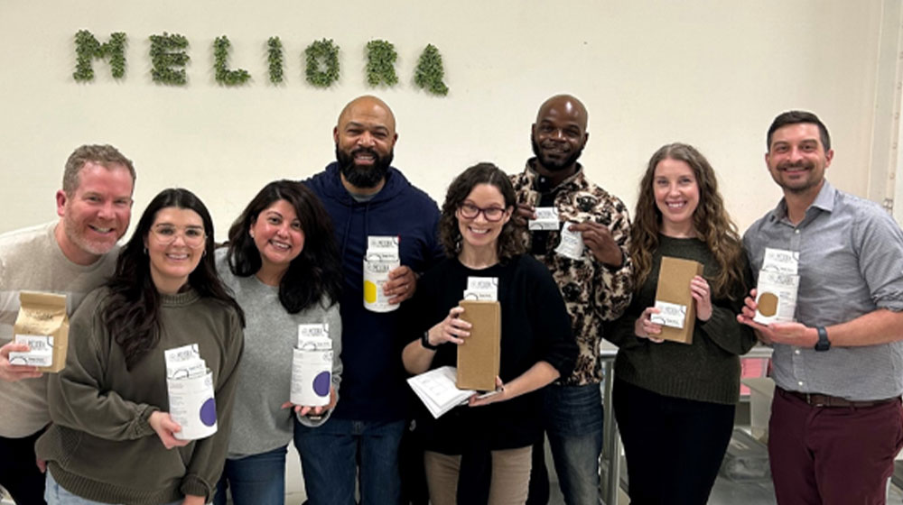 Meloria Cleaning Visit